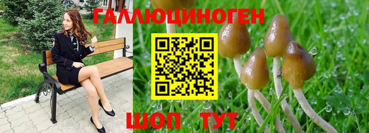Псилоцибиновые грибы Cubensis  Галлюциногенные грибы GOLDEN TEACHER  Можайск  Вход с VPN 