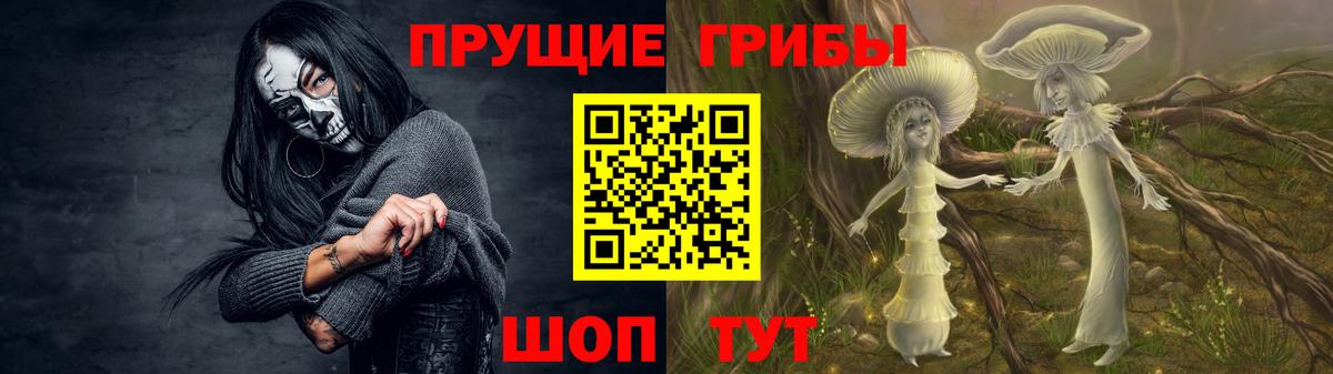 Псилоцибиновые грибы мухоморы Можайск